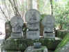 Miyajima-Hiroshima-082