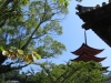 Miyajima-Hiroshima-093