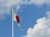 Miyajima-Hiroshima-151