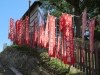Nara-006