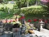 Nara-008
