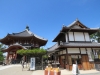 Nara-016
