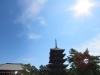 Nara-019