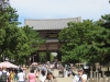Nara-036