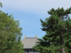 Nara-041