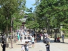 Nara-045