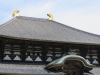 Nara-051