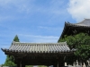 Nara-116
