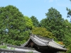 Nara-146