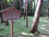 Nara-149