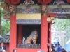 Nikko-008
