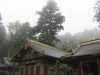 Nikko-010