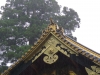 Nikko-015