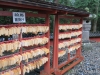 Nikko-028