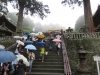 Nikko-029