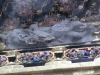 Nikko-038