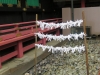 Nikko-045