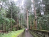 Nikko-066