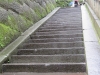 Nikko-068