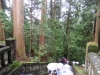 Nikko-075