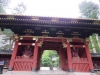 Nikko-113