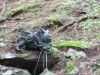 Nikko-121