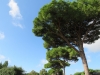 OstiaAntica-009