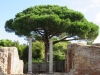 OstiaAntica-019