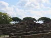 OstiaAntica-034