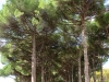 OstiaAntica-035