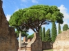 OstiaAntica-099