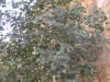 PetraDeadSea-018