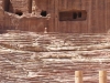 PetraDeadSea-064