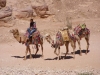 PetraDeadSea-070