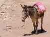 PetraDeadSea-117