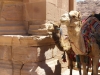 PetraDeadSea-124