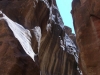 PetraDeadSea-156