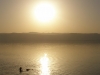 PetraDeadSea-174
