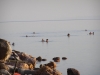 PetraDeadSea-177