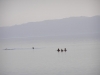 PetraDeadSea-178