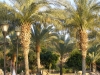 PetraDeadSea-183