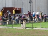 Pisa-055