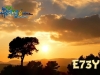 e73y-2