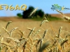 e76aq-1