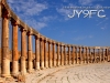 jy9fc-04