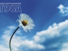 t98a