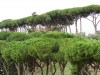 Rome-060