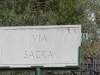 Rome-133