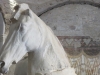 Rome-158