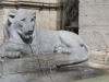 Rome-423